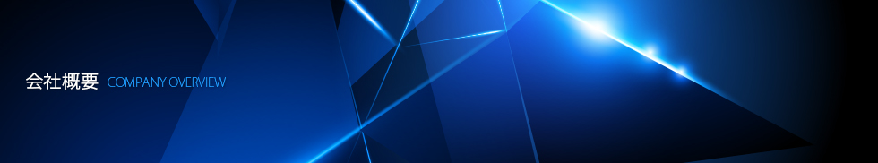 会社概要 / COMPANY OVERVIEW